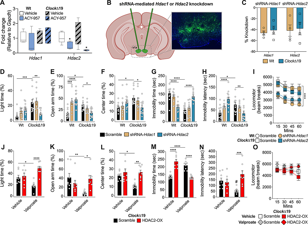 Valproate reverses mania-like behaviors in mice via preferential targeting of HDAC2