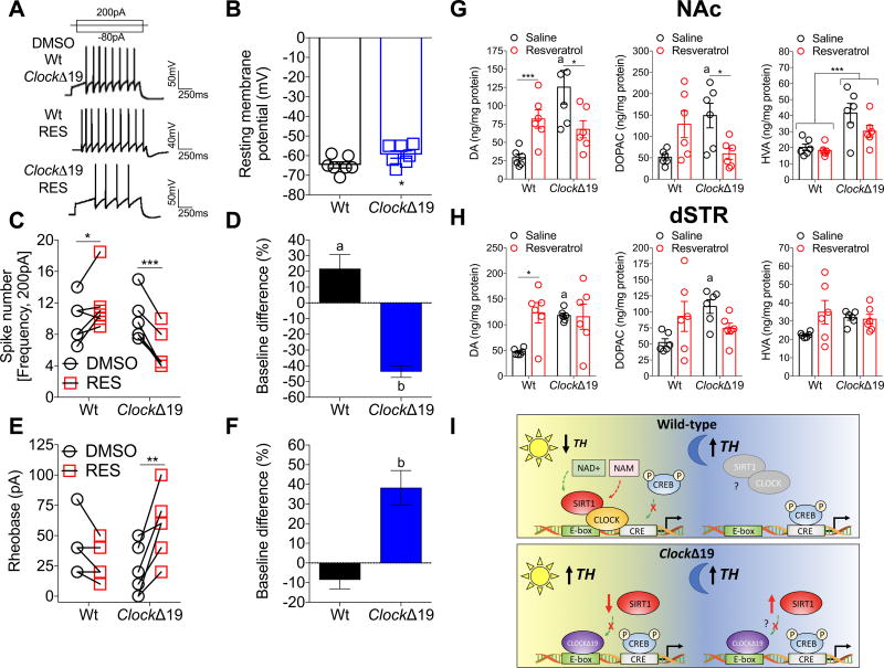 NAD+ cellular redox and SIRT1 regulate the diurnal rhythms of tyrosine hydroxylase and conditioned cocaine reward