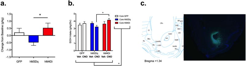 Pharmacogenetic Manipulation of the Nucleus Accumbens Alters Binge‐Like Alcohol Drinking in Mice