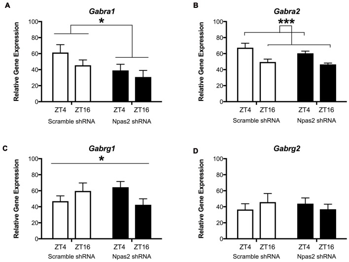 NPAS2 Regulation of Anxiety-Like Behavior and GABAA Receptors